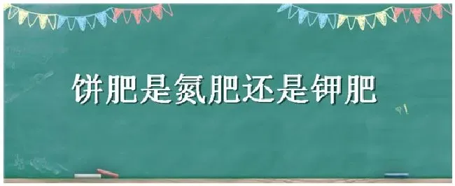 饼肥是氮肥还是钾肥 | 三农答疑