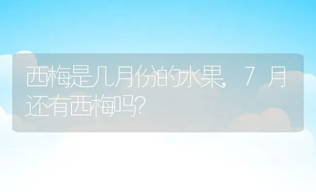 西梅是几月份的水果,7月还有西梅吗？ | 养殖常见问题