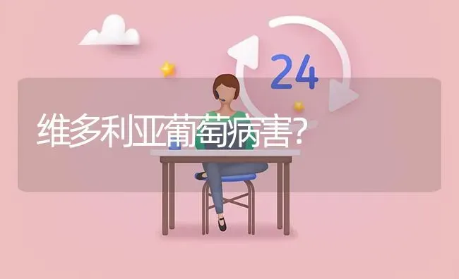 维多利亚葡萄病害? | 养殖问题解答