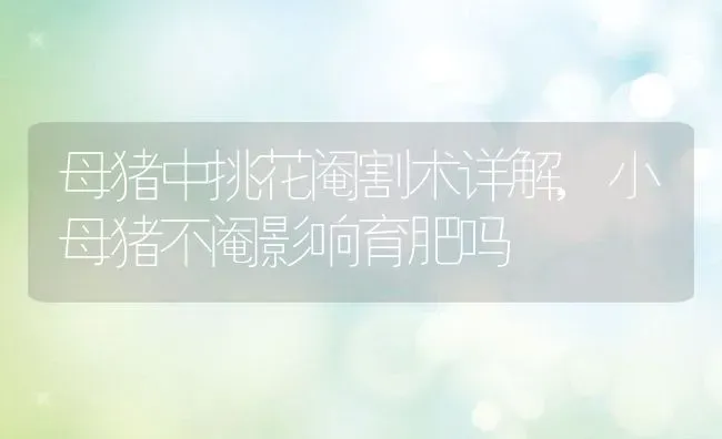 金玉满堂花怎么养护方法,金玉满堂花怎么养护方法相关了解点第7点 | 养殖常见问题