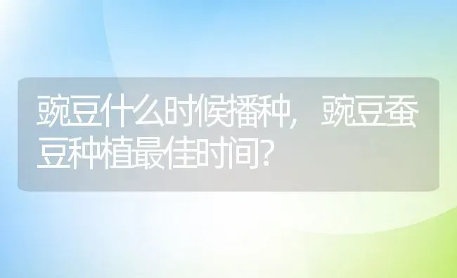 豌豆什么时候播种,豌豆蚕豆种植最佳时间？ | 养殖常见问题