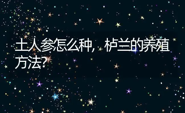 土人参怎么种,栌兰的养殖方法？ | 养殖常见问题