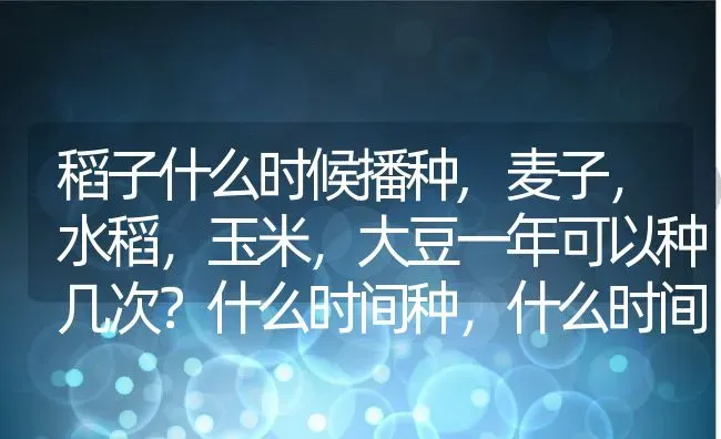 稻子什么时候播种,麦子，水稻，玉米，大豆一年可以种几次？什么时间种，什么时间成熟？ | 养殖常见问题