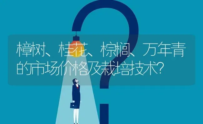 樟树、桂花、棕榈、万年青的市场价格及栽培技术? | 养殖问题解答