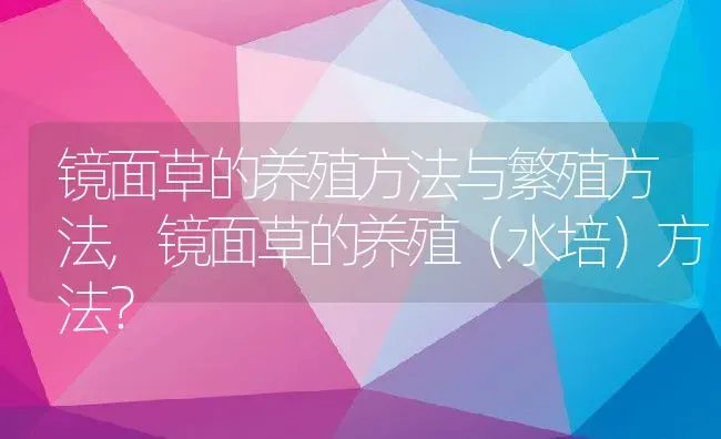 镜面草的养殖方法与繁殖方法,镜面草的养殖（水培）方法？ | 养殖常见问题