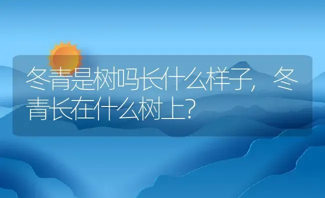 冬青是树吗长什么样子,冬青长在什么树上？ | 养殖常见问题