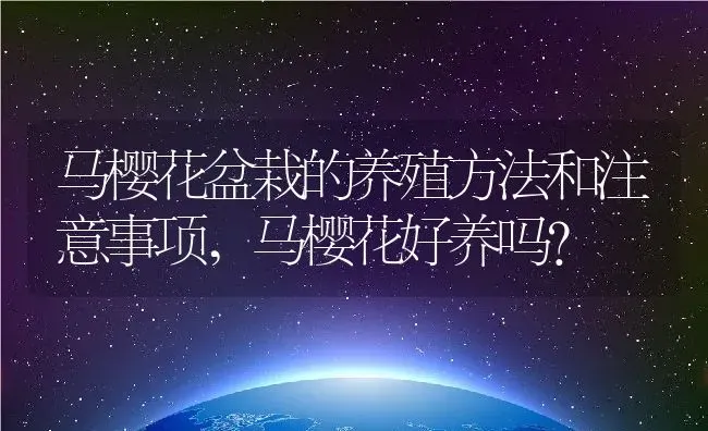 马樱花盆栽的养殖方法和注意事项,马樱花好养吗？ | 养殖常见问题