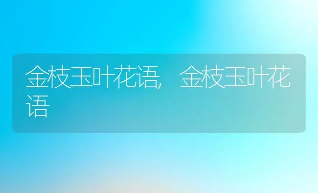 金枝玉叶花语,金枝玉叶花语 | 养殖常见问题