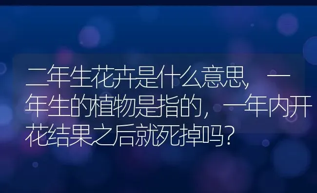 二年生花卉是什么意思,一年生的植物是指的，一年内开花结果之后就死掉吗？ | 养殖常见问题