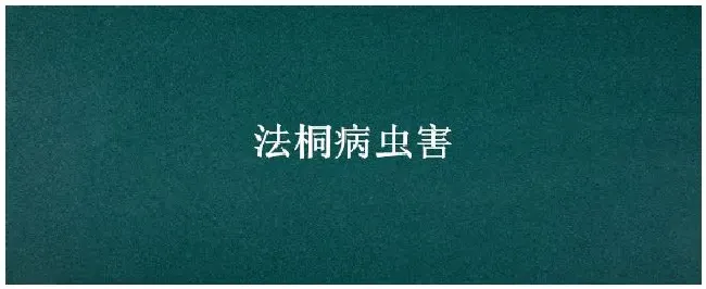 法桐病虫害 | 农业答疑