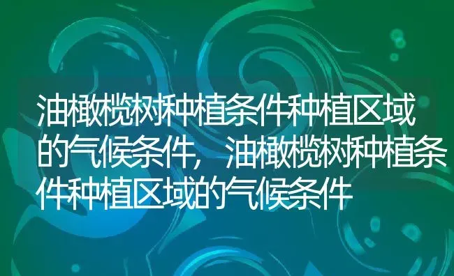 油橄榄树种植条件种植区域的气候条件,油橄榄树种植条件种植区域的气候条件 | 养殖常见问题