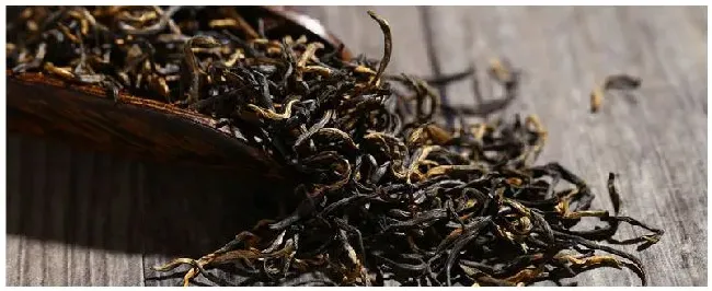 红茶都是什么茶 | 三农问答