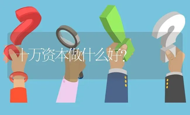 十万资本做什么好? | 养殖问题解答