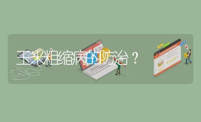 玉米粗缩病的防治? | 养殖问题解答