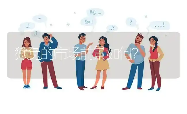 獭兔的市场前景如何? | 养殖问题解答