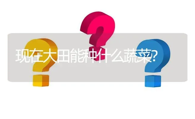 现在大田能种什么蔬菜? | 养殖问题解答