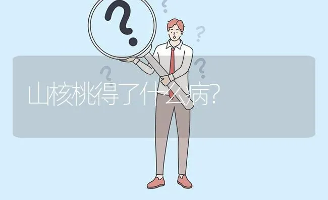 山核桃得了什么病? | 养殖问题解答