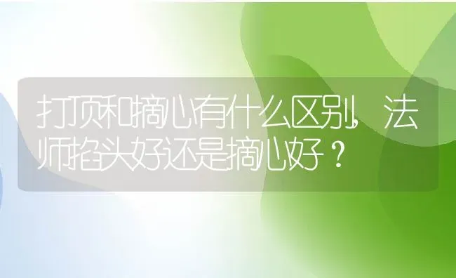 打顶和摘心有什么区别,法师掐头好还是摘心好？ | 养殖常见问题