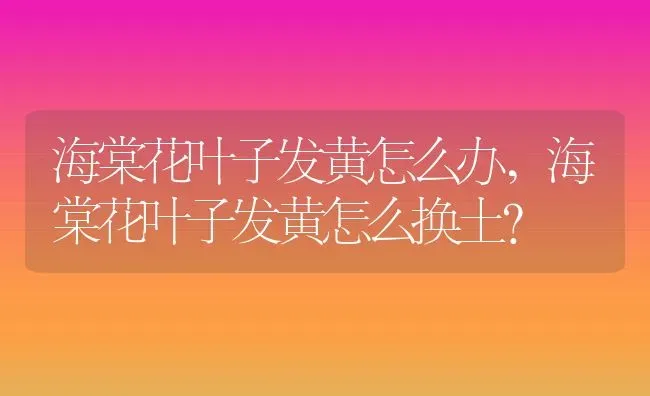 海棠花叶子发黄怎么办,海棠花叶子发黄怎么换土？ | 养殖常见问题