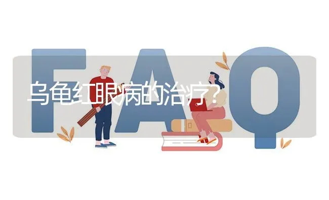 乌龟红眼病的治疗? | 养殖问题解答