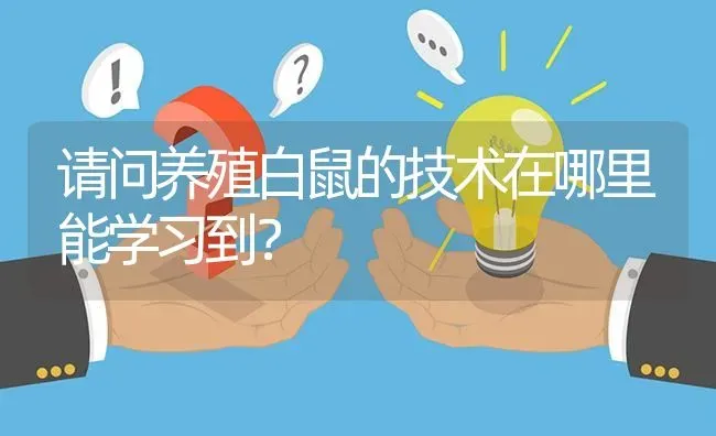 请问养殖白鼠的技术在哪里能学习到? | 养殖问题解答