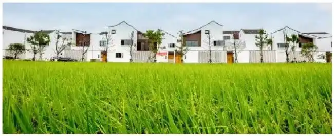 数字农业什么意思 | 科普知识