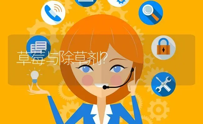 草莓与除草剂? | 养殖问题解答