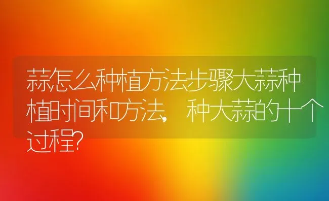 蒜怎么种植方法步骤大蒜种植时间和方法,种大蒜的十个过程？ | 养殖常见问题