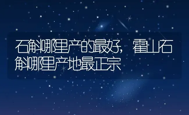 石斛哪里产的最好,霍山石斛哪里产地最正宗 | 养殖常见问题