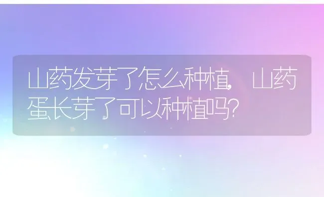 黑麦草一亩地需要多少种子,黑麦草行株距是多少？ | 养殖常见问题