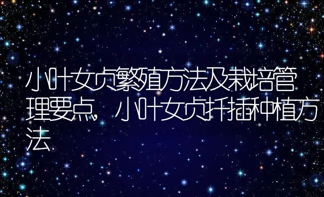 小叶女贞繁殖方法及栽培管理要点,小叶女贞扦插种植方法 | 养殖常见问题