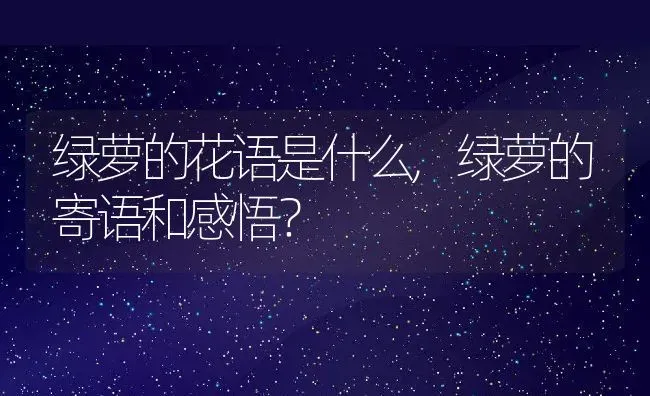 绿萝的花语是什么,绿萝的寄语和感悟？ | 养殖常见问题