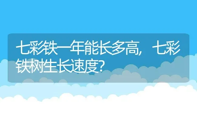 七彩铁一年能长多高,七彩铁树生长速度？ | 养殖常见问题