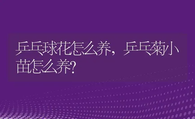 乒乓球花怎么养,乒乓菊小苗怎么养？ | 养殖常见问题