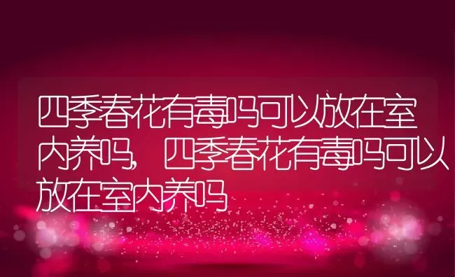 四季春花有毒吗可以放在室内养吗,四季春花有毒吗可以放在室内养吗 | 养殖常见问题