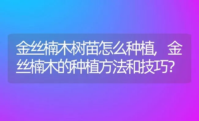 金丝楠木树苗怎么种植,金丝楠木的种植方法和技巧？ | 养殖常见问题