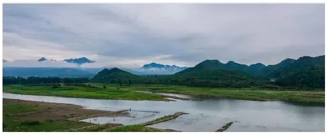 积水田适合种植什么 | 农业常识