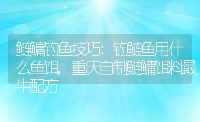 鲢鳙钓鱼技巧:钓鲢鱼用什么鱼饵,重庆自制鲢鳙饵料最牛配方 | 养殖常见问题