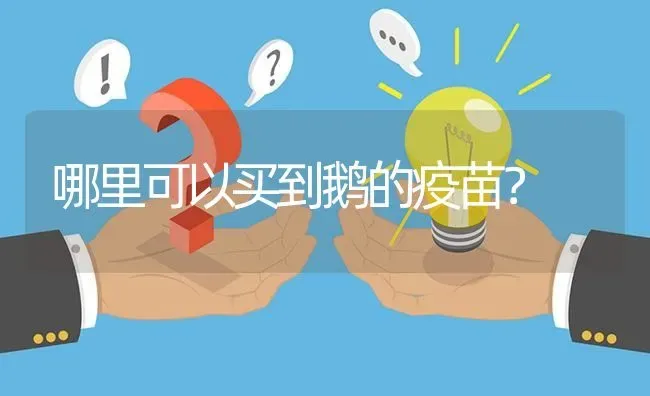 哪里可以买到鹅的疫苗? | 养殖问题解答