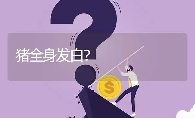 猪全身发白? | 养殖问题解答