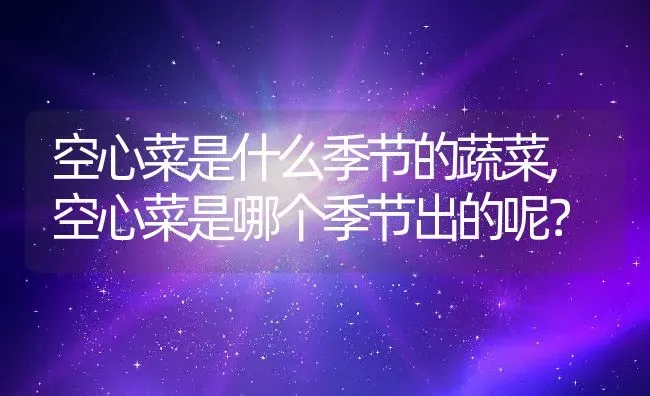 空心菜是什么季节的蔬菜,空心菜是哪个季节出的呢？ | 养殖常见问题
