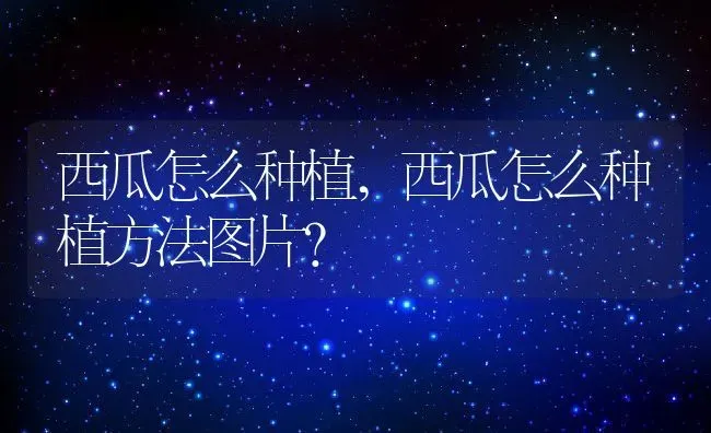 西瓜怎么种植,西瓜怎么种植方法图片？ | 养殖常见问题