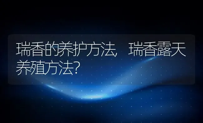 瑞香的养护方法,瑞香露天养殖方法？ | 养殖常见问题