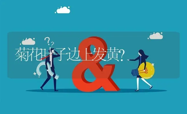 菊花叶子边上发黄? | 养殖问题解答
