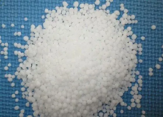 植物常识问题|如何给兰花使用尿素令叶片更浓绿