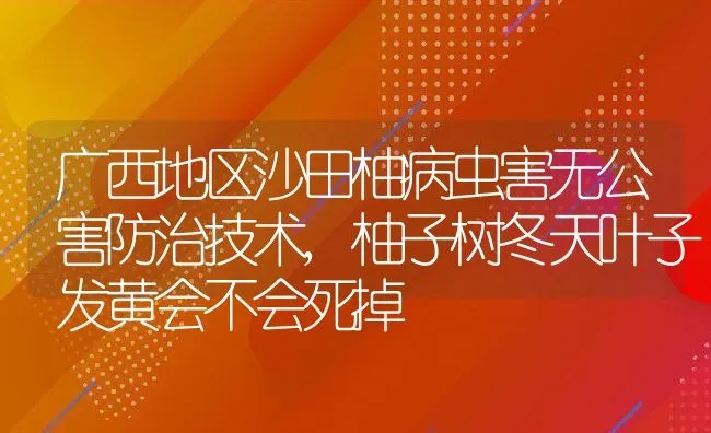 广西地区沙田柚病虫害无公害防治技术,柚子树冬天叶子发黄会不会死掉 | 养殖常见问题