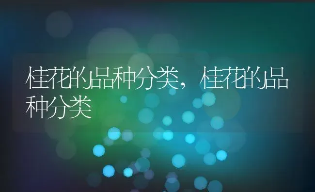 桂花的品种分类,桂花的品种分类 | 养殖常见问题