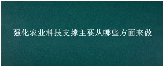 强化农业科技支撑主要从哪些方面来做 | 三农答疑
