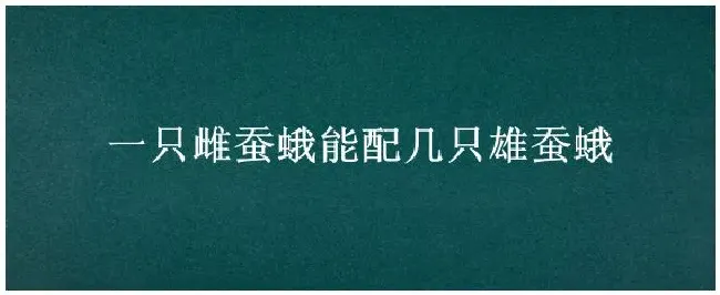 一只雌蚕蛾能配几只雄蚕蛾 | 三农问答