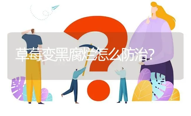 草莓变黑腐烂怎么防治? | 养殖问题解答